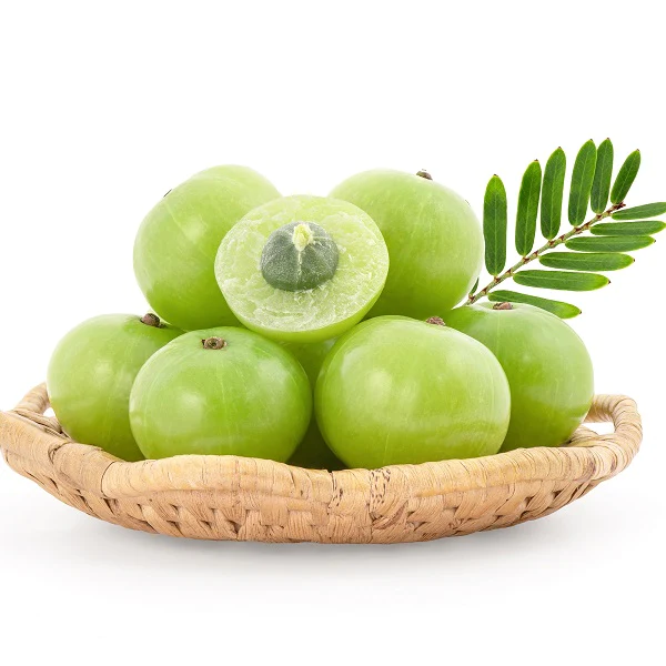 Amla en poudre alimentaire - بودرة أملا للأكل