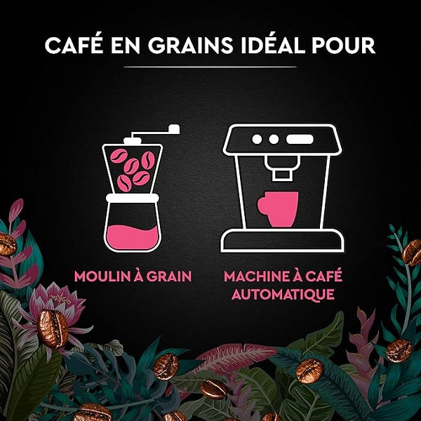 Café en grains Secrets de Nature Congusta & Mundo Novo, 1kg - Carte Noire