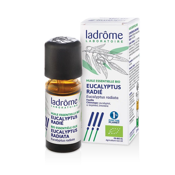 Huile Essentielle d'Eucalyptus radié, 10ml - LADRÔME Maroc vente en ligne epicerie Fine