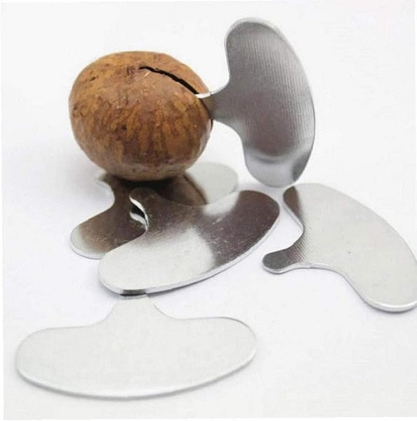 Noix de macadamia fraiche avec coque et clé d'ouverture