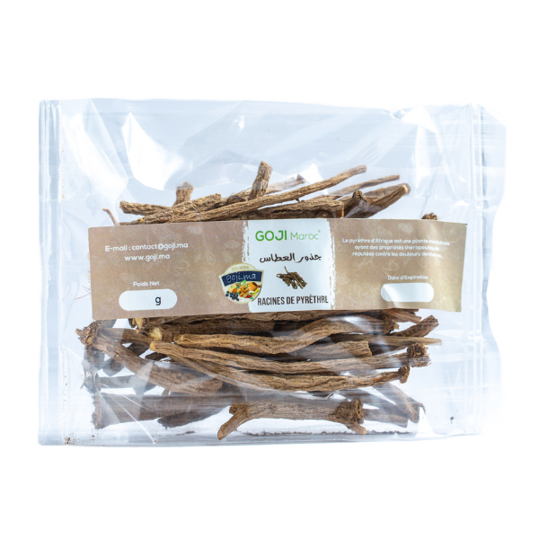Racines de pyrèthre عود العطاس - تقنديشت - عود القرحان Maroc vente en ligne epicerie Fine
