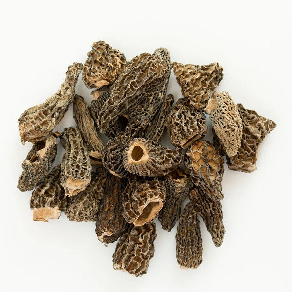 Morilles sèches champignon, Colmenilla Maroc vente en ligne epicerie Fine
