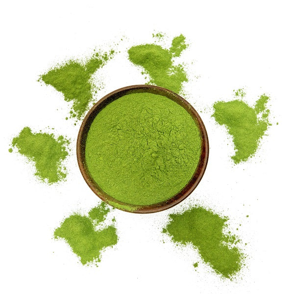 Poudre de matcha Bio en vrac - ماتشا Maroc vente en ligne epicerie Fine