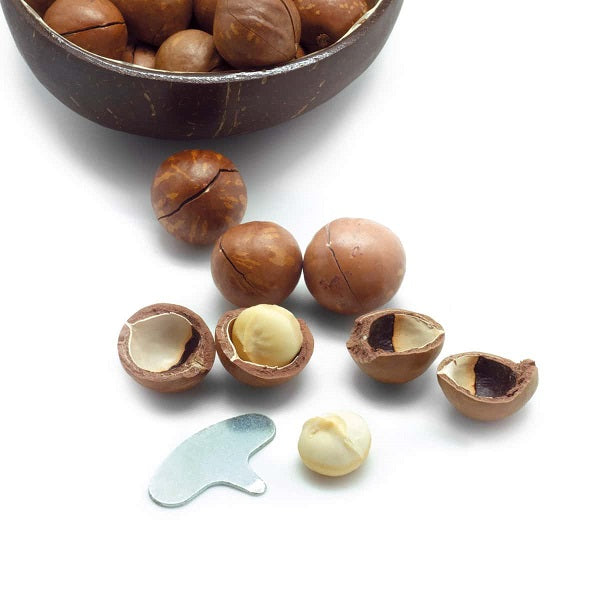 Noix de macadamia fraiche avec coque et clé d'ouverture