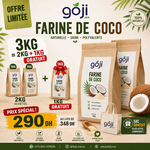 3Kg Farine de Coco en vrac bio - دقيق جوز الهند