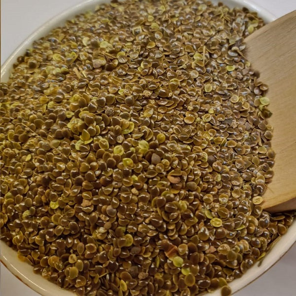 Graines d' Ortie piquante زريعة الحريكة stinging nettle seeds