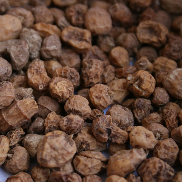 Amandes de terre, Souchet comestible - حب العزيز