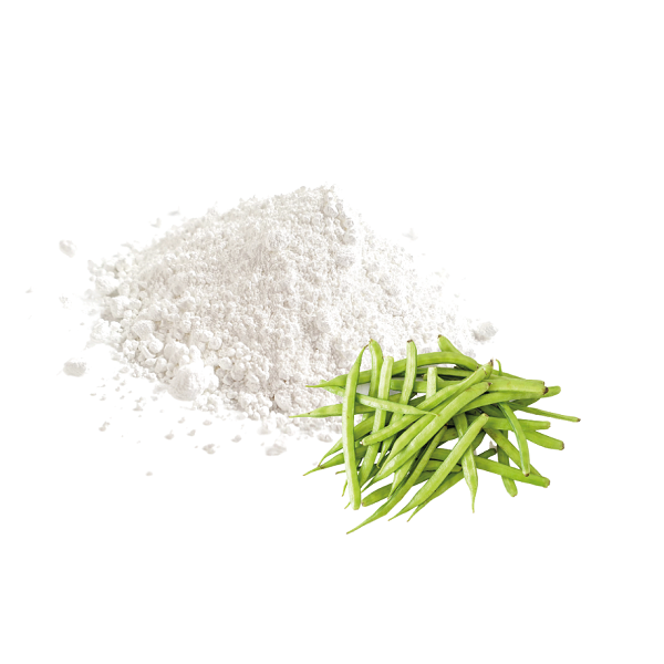 Gomme de Guar Bio - صمغ الغار