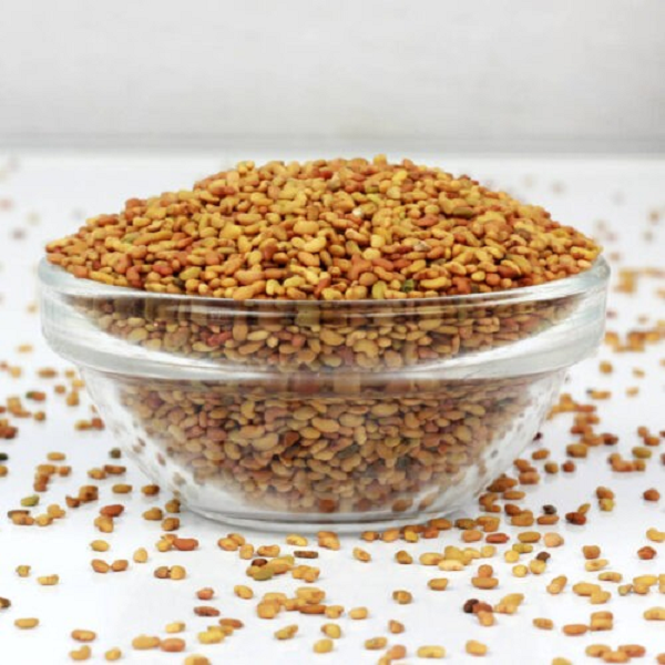 Graines de Luzerne (Alfalfa) حبوب الفصة
