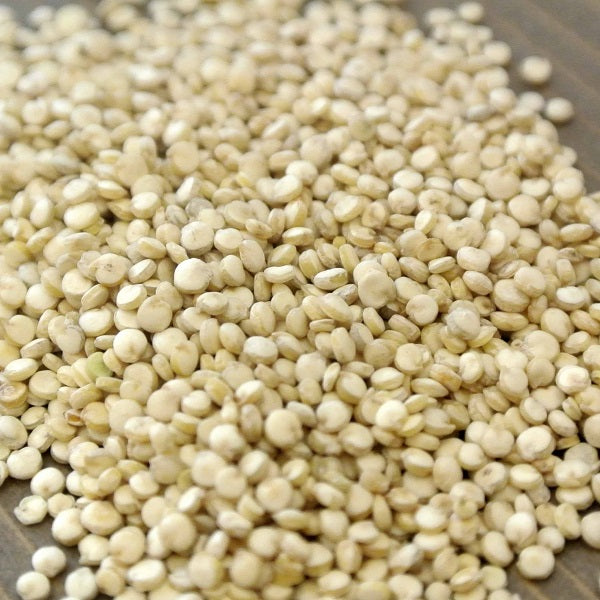 Quinoa blanc en vrac - كينوا بيضاء