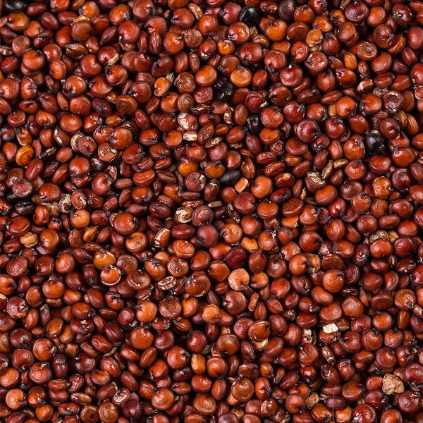 Quinoa rouge en vrac - كينوا حمراء