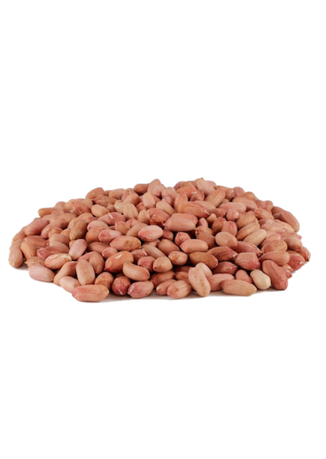 Arachides Cacahuètes nature décortiquées - كاوكاو - الفول السوداني