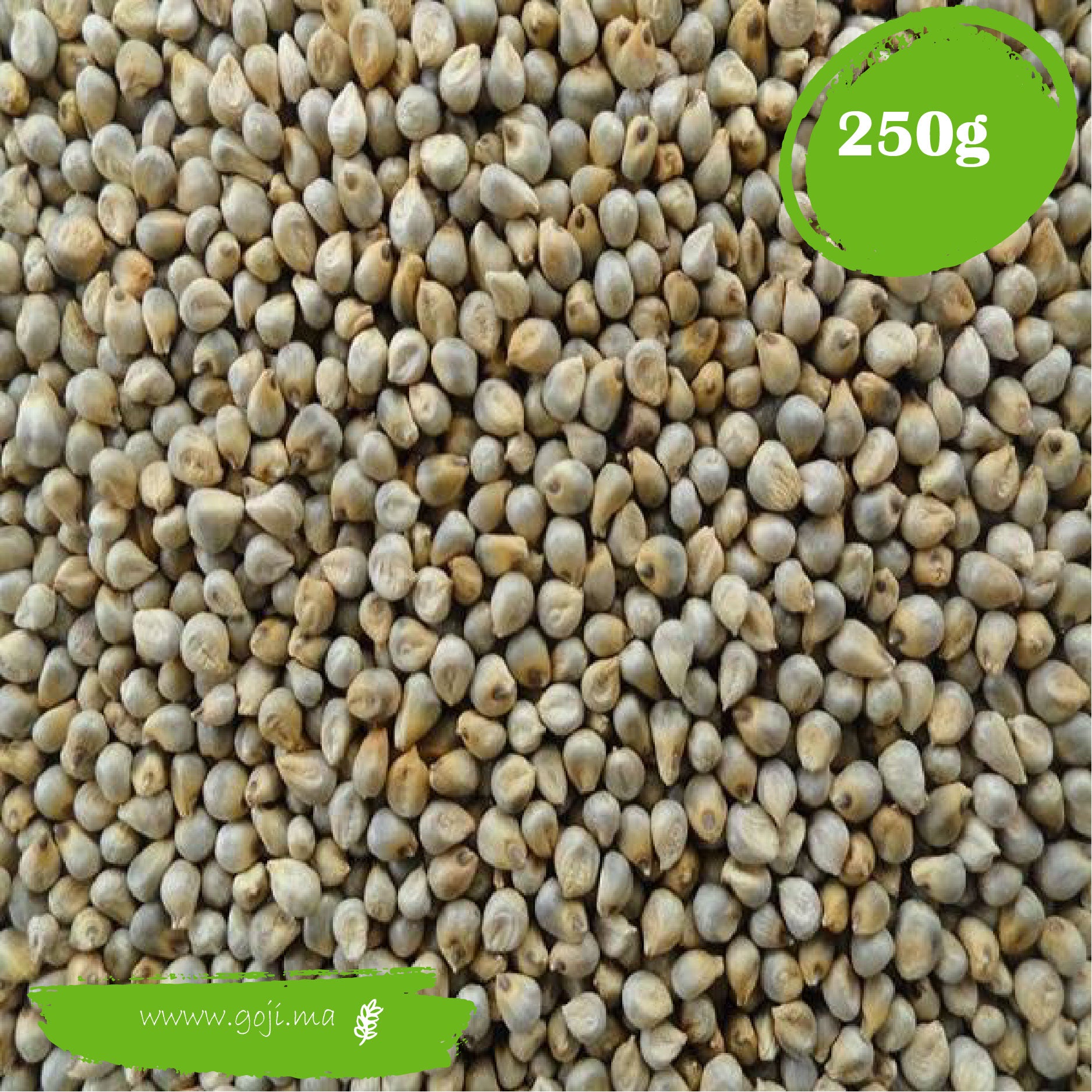 Graines De Millet ايلان