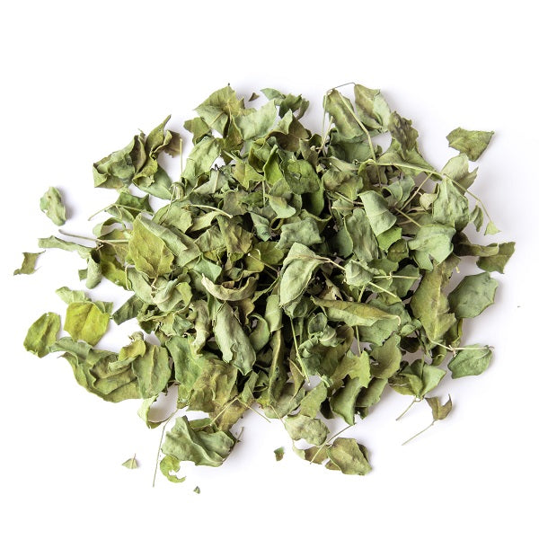 Feuilles de Moringa séchées - أوراق مورينكا جافة