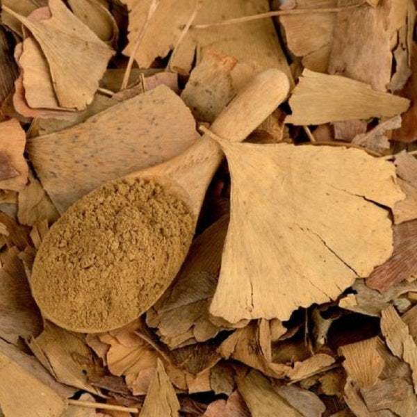 Ginkgo Biloba en poudre - مسحوق جينكو بيلوبا