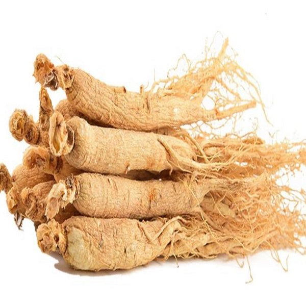 Ginseng séché - عشبة جنسنج