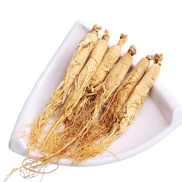 Ginseng séché - عشبة جنسنج