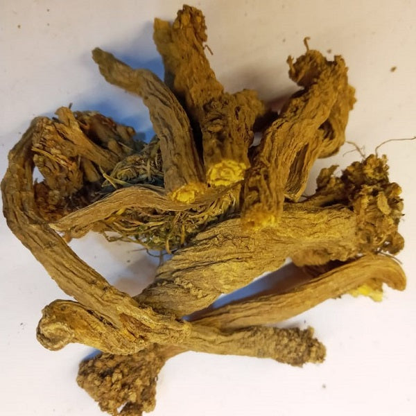 Sarghina en racines - سرغينة عود