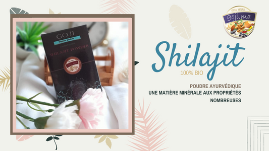 Le shilajit, l’Or de l’Himalaya