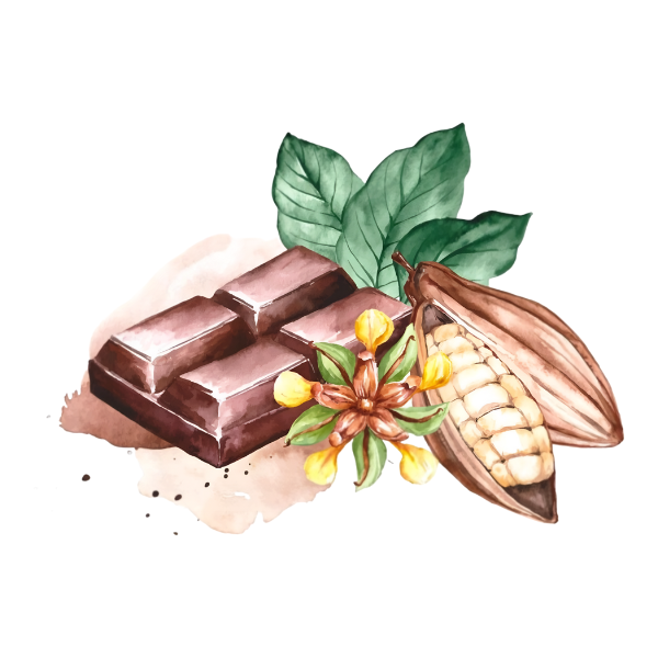 Chocolats et cacao