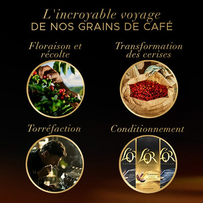 Café en grain Brésil, intensité 5 Délicat, 900g - L'OR