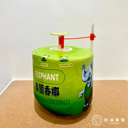 Eau de Coco Naturelle  - ELEPHANT