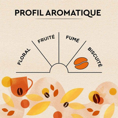 Café en Grains Petit-Déjeuner intense et généreux, 1kg - Carte Noire
