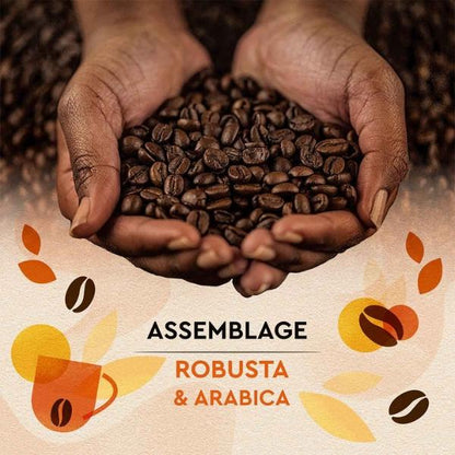 Café en Grains Petit-Déjeuner intense et généreux, 1kg - Carte Noire