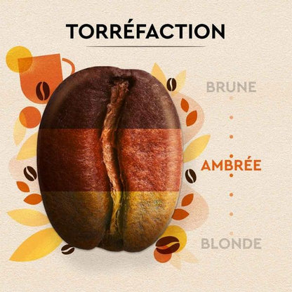 Café en Grains Petit-Déjeuner intense et généreux, 1kg - Carte Noire