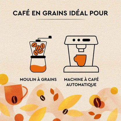 Café en Grains Petit-Déjeuner intense et généreux, 1kg - Carte Noire