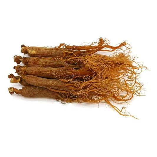 Ginseng rouge en racines  جذور الجينسنغ الأحمر