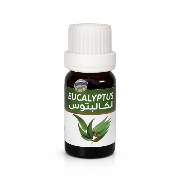 Huile Essentielle d'Eucalyptus - زيت الأوكالبتوس الأساسي