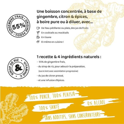 Le Ginger Classique BIO - GOPY