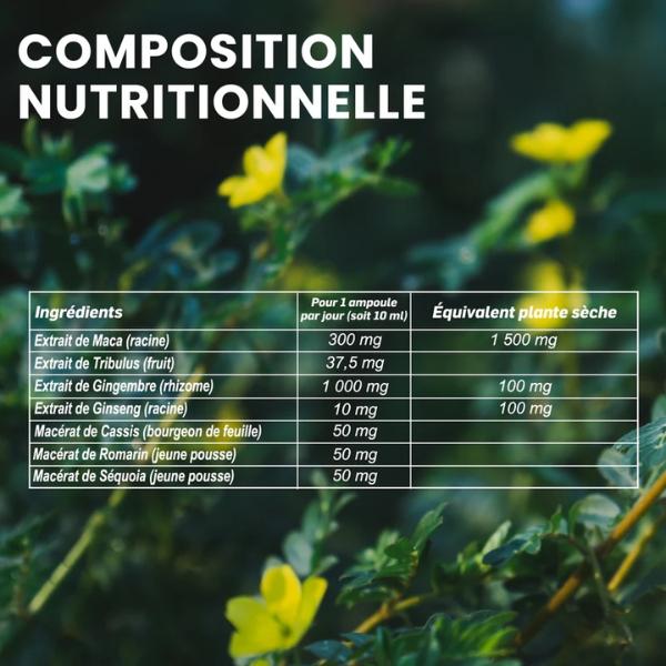 Maca 1500 Tribulus Ginseng Gingembre, 20 ampoules - SANTAROME BIO