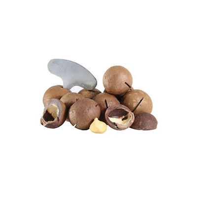Noix de macadamia fraiche avec coque et clé d'ouverture