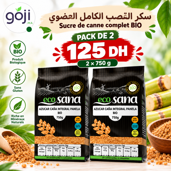 Pack 2*Panela sucre de canne complet Bio, 750g - ECOSANA