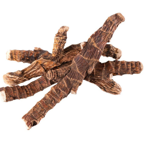 acorus calamus جذوره قصب الذريرة