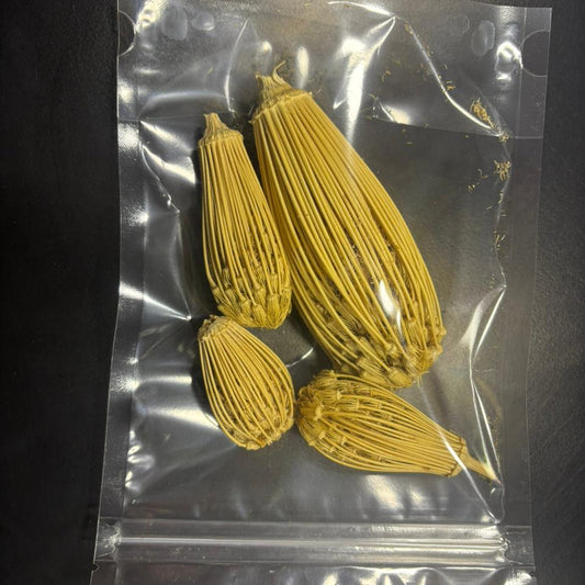 Cure-dents écologiques - خلايل الأسنان - bouchnikha