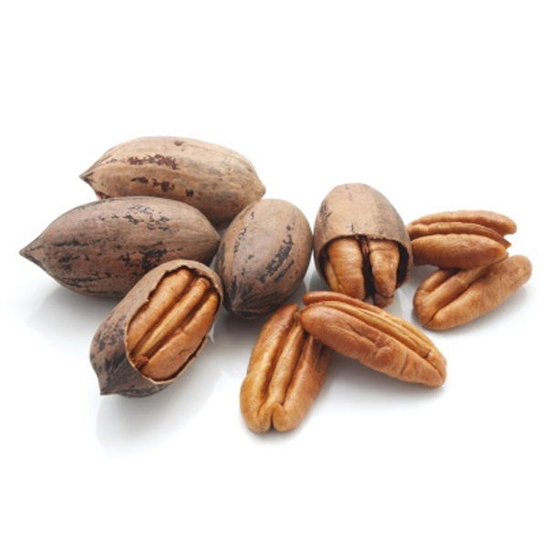 Noix de pecan avec coque باكام بالقشرة