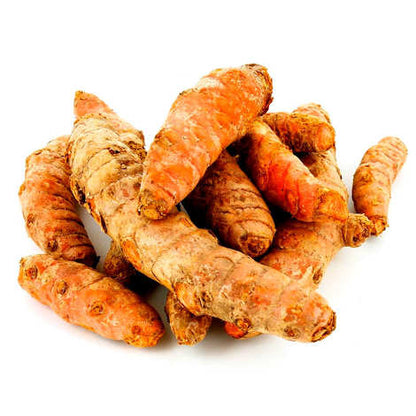 Curcuma frais - خرقوم طازج