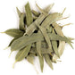 Feuilles d'eucalyptus-اوراق الكالبتوس