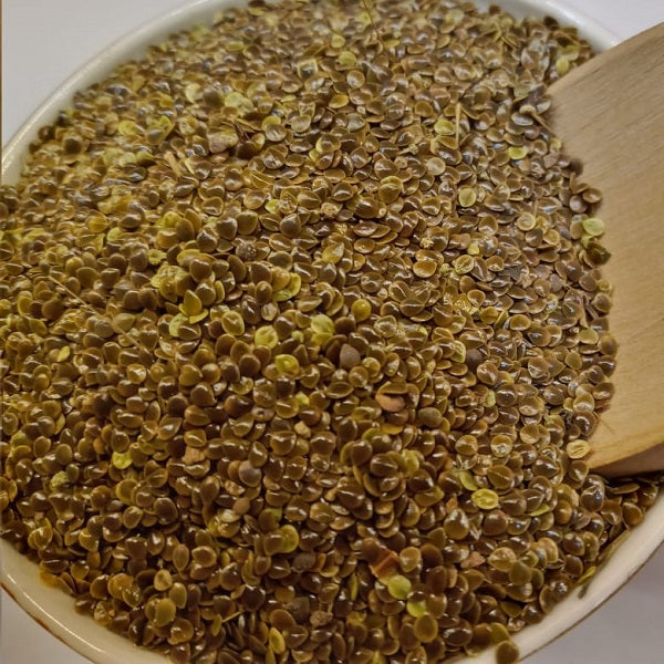 Graines d' Ortie piquante زريعة الحريكة  stinging nettle seeds
