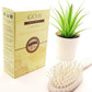 Citronnelle en poudre - Lemongrass - ﺑﻮﺩﺭﺓ الليمون