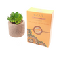Poudre d’Orange BIO - ﺑﻮﺩﺭﺓ البرتقال