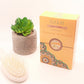 Poudre d’Orange BIO - ﺑﻮﺩﺭﺓ البرتقال