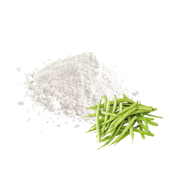 Gomme De Guar En Poudre (Guar Gum) – Special Ingredients Europe