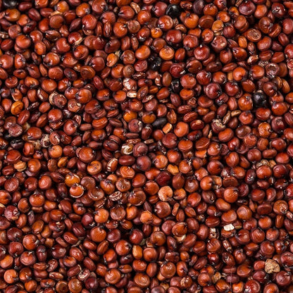 Quinoa rouge en vrac - كينوا حمراء