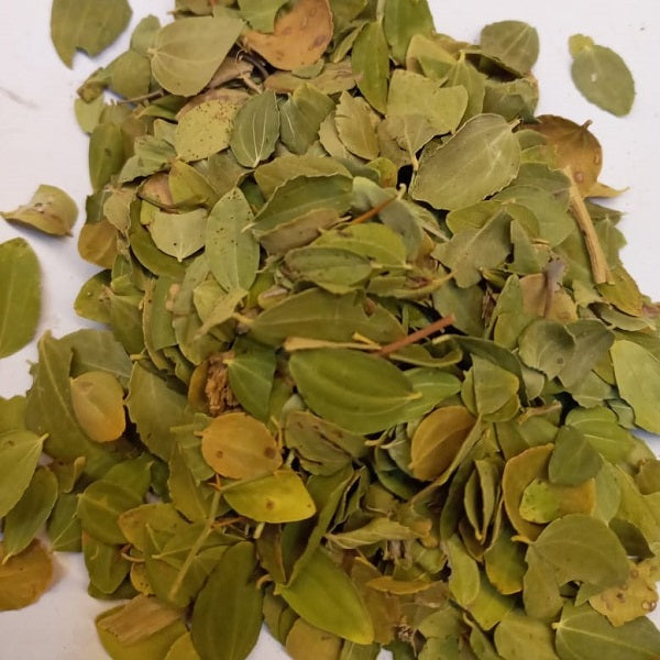 Poudre de feuilles de jujubier Sidr السدر مطحون