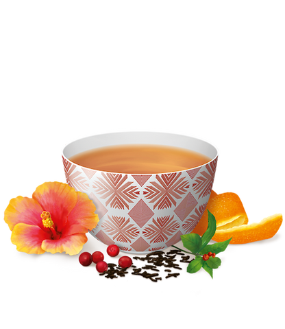 Infusion Énergie Positive Canneberge Hibiscus - YOGI TEA