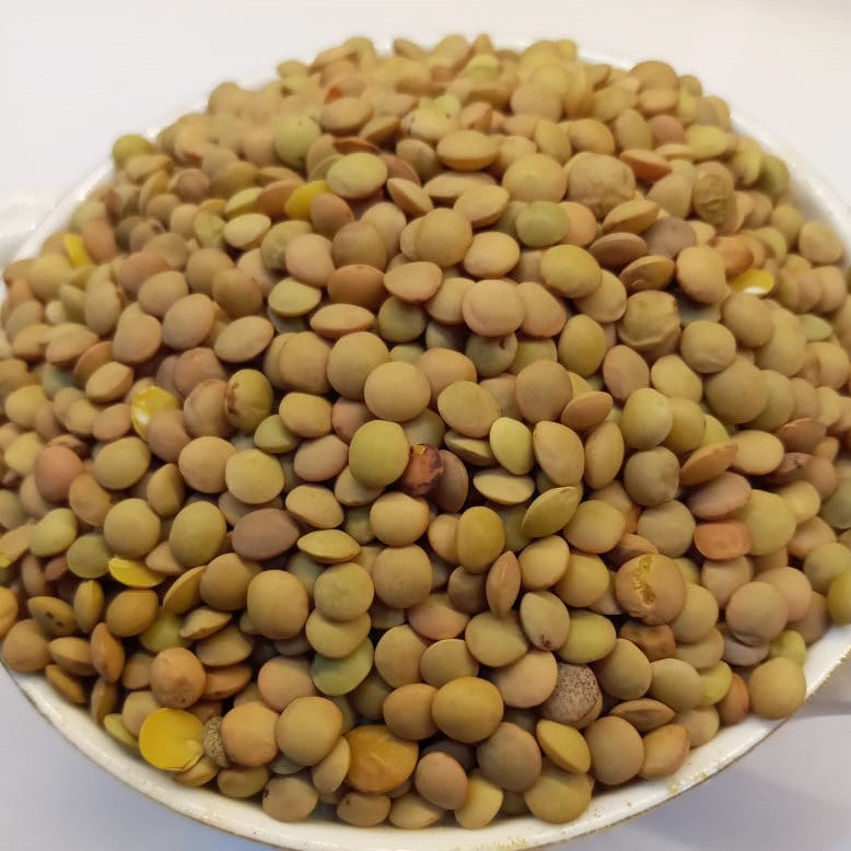 Lentilles marocaine - عدس بلدي مغربي